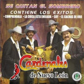 Download track Comprendala Los Cardenales De Nuevo Leon
