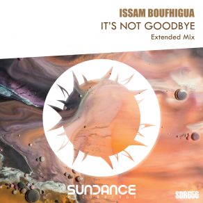 Download track It's Not Goodbye (Extended Mix) Issam Boufhigua