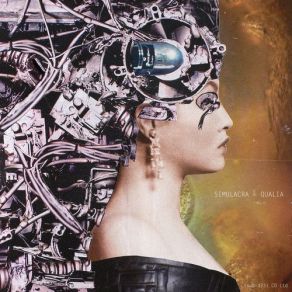 Download track Fuzzy Logic SIMULACRA