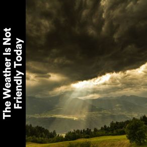 Download track Genuineness Sound Of Rain