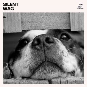 Download track Relaxing Music For Pets Healing Dog Music