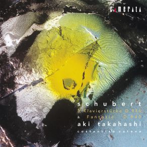 Download track Deutsche (Landler) Op. 171 D. 790: No. 3 In D Major Aki Takahashi