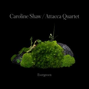 Download track The Evergreen: IV. Root Caroline Shaw, Attacca Quartet