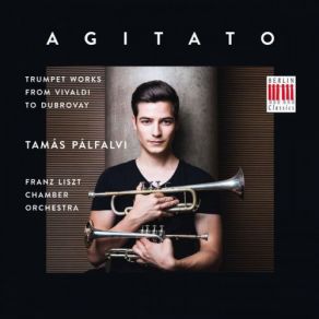 Download track Suite In D Major, HWV 341 II. Allegro Tamas Palfalvi