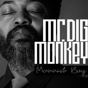 Download track Mannish Boy Mr. Dig Monkey