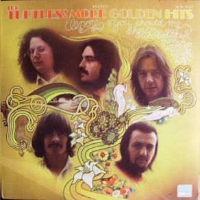 Download track You Don't Have To Walk In The Rain Turtles, The