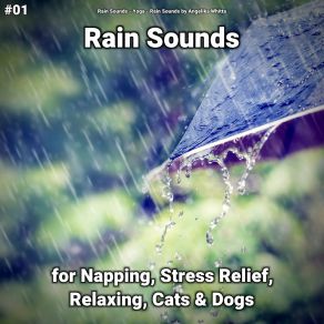 Download track Rain Sounds To Help You Sleep Rain Sounds By Angelika Whitta