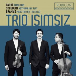 Download track Piano Trio In D Minor, Op. 120: I. Allegro Ma Non Troppo Trio Isimsiz