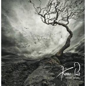 Download track Choose Your Path Kerrs Pink