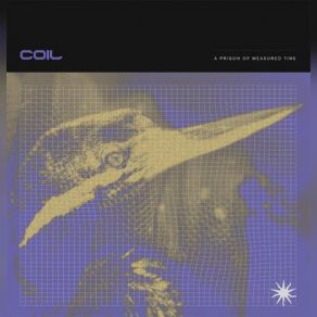 Download track Wir Clk Wir (A Deeply Disturbed Passing Mix) Coil
