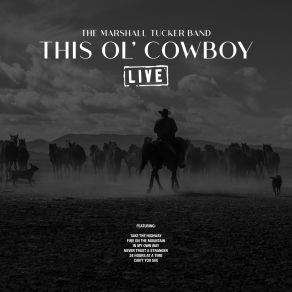 Download track Searchin' For A Rainbow (Live) The Marshall Tucker Band
