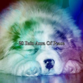 Download track Simulating Stimulation Meditation Rain Sounds
