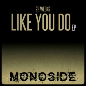 Download track Like You Do 22 Weeks