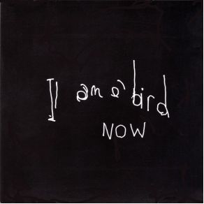 Download track Spiralling Antony And The JohnsonsDevendra Banhart
