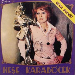 Download track Enginde Yavaş Yavaş Neşe Karaböcek