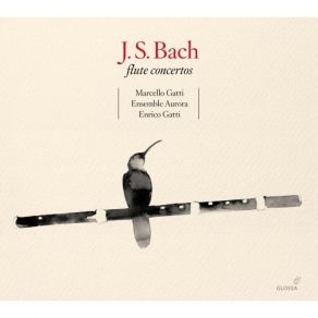 Download track 4. Triple Concerto In D Major BWV1050a Early Version Of The 5th ''Brandenburg'' Concerto - 1. Allegro Johann Sebastian Bach