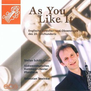 Download track Serenade For Strings Op. 20 In E Minor: II. 2. Larghetto Stefan SchilliSebastian Twinkel