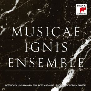 Download track String Quartet No. 13 In B-Flat Major, Op. 130 - V. Cavatina. Adagio Molto Espressivo Ignis Ensemble