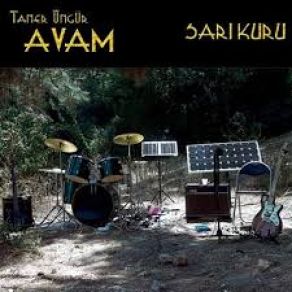 Download track Sistem Biziz Taner Öngür, Avam