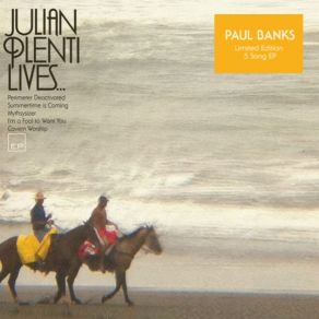 Download track I'M A Fool To Want You Paul Banks