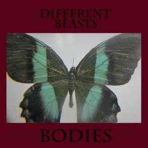 Download track The Valley The Bodies