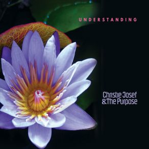 Download track Save The Trees Christie Josef