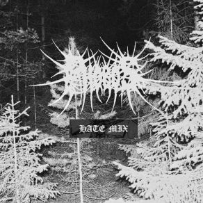 Download track We Will Forever Wander Through This Forest, Where Once As Children Phobos