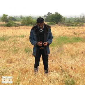 Download track Wild Wolves D'Meetri