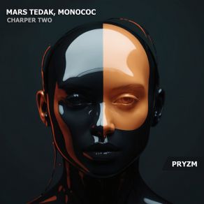 Download track Chapter Two Monococ