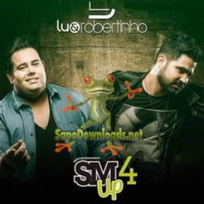 Download track Scar Tissue Lú & Robertinho