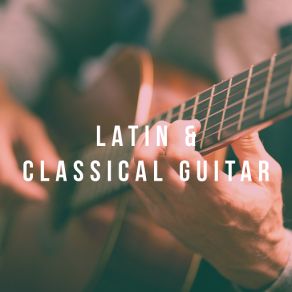 Download track Guitar Concerto In D Major Henrik Janson