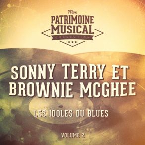 Download track I'm Talking About It Brownie McGhee