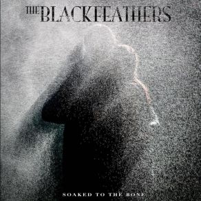 Download track Spider And The Fly The Black Feathers