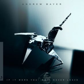 Download track A Brief Interlude Andrew Bayer