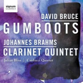 Download track Clarinet Quintet In B Minor Op. 115 - I. Allegro Julian Bliss, Carducci String QuartetJohannes Brahms