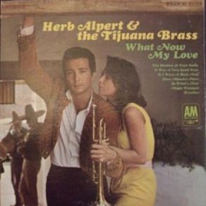 Download track The Shadow Of Your Smile Herb AlpertThe Tijuana Brass