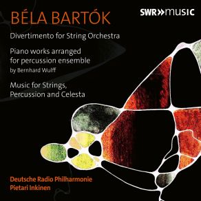 Download track Divertimento For String Orchestra BB 118 Sz. 113 - II. Molto Adagio Bartok