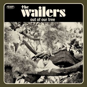 Download track You Weren't Using Your Head The Wailers