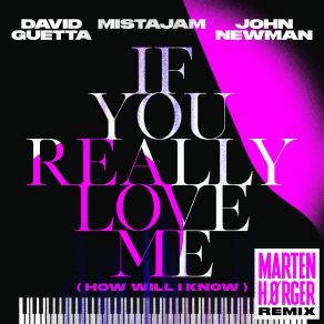 Download track If You Really Love Me (How Will I Know) David GuettaMistaJam, John Newman