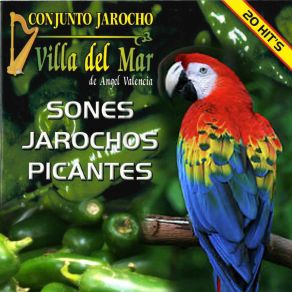 Download track Los Hermanos Pinzón Conjunto Jarocho Villa Del Mar