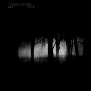 Download track I Need A Ghost To Feel Alive TempleOfTheBear
