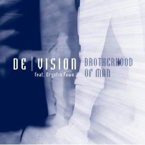 Download track Binary Soldier (Album Version) DeVision
