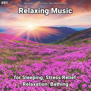 Download track Relaxing Music To Help Babies Sleep Relaxing Spa Music