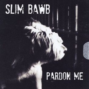 Download track What I'm Sayin' Slim Bawb