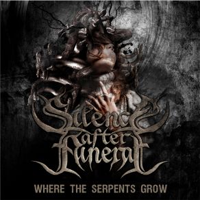 Download track Silence After Funeral Silence After Funeral