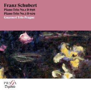 Download track Piano Trio No. 2 In E-Flat Major, Op. 100, D. 929 III. Scherzando - Allegro Moderato Guarneri Trio Prague