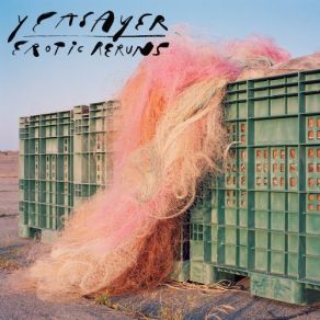 Download track Crack A Smile Yeasayer