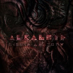 Download track Chaos Theory And Practice ALKALOID