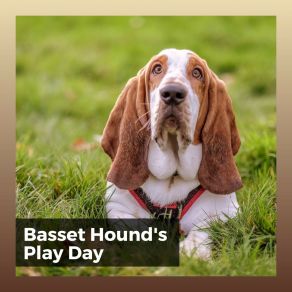 Download track The Best Time To Unwind For My Dog Pet Care Music Therapy