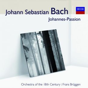 Download track St. John Passion, BWV 245-Part Two-No. 28 Choral Er Nahm Alles Wohl In Aacht Frans Brüggen Orchestra Of The 18th Century